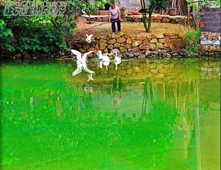 ��¡��ɽ��δʶ����Ȼ����