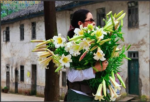 ��¡��ɽ��δʶ����Ȼ����