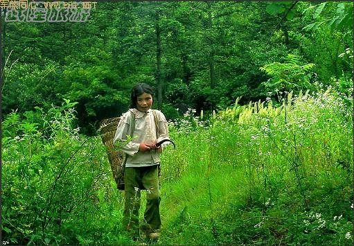 ��¡��ɽ��δʶ����Ȼ����