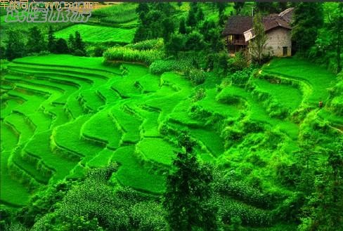 ��¡��ɽ��δʶ����Ȼ����