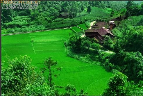 ��¡��ɽ��δʶ����Ȼ����