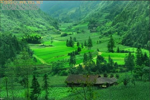 ��¡��ɽ��δʶ����Ȼ����