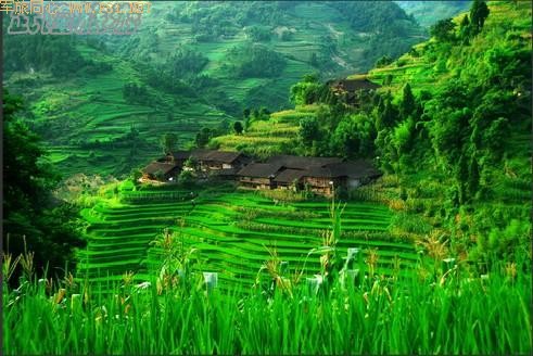 ��¡��ɽ��δʶ����Ȼ����