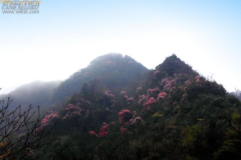 ��¡����ɽ�ž黨