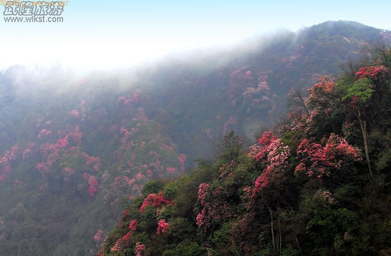 ��¡����ɽ�ž黨