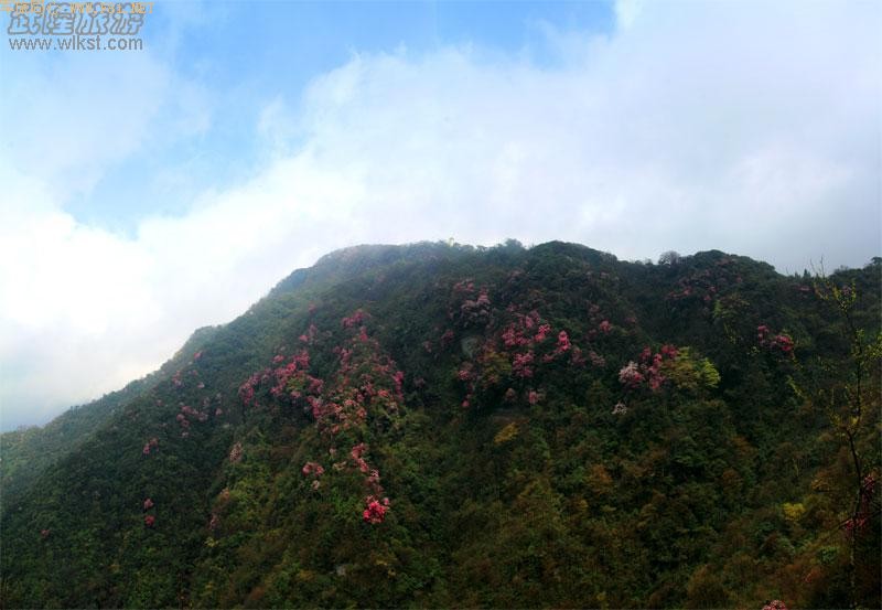 ��¡����ɽ�ž黨