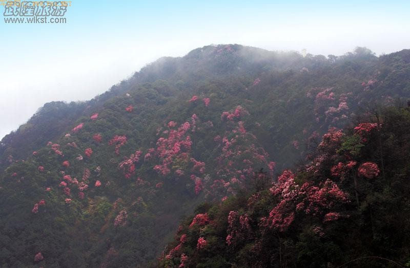 ��¡����ɽ�ž黨