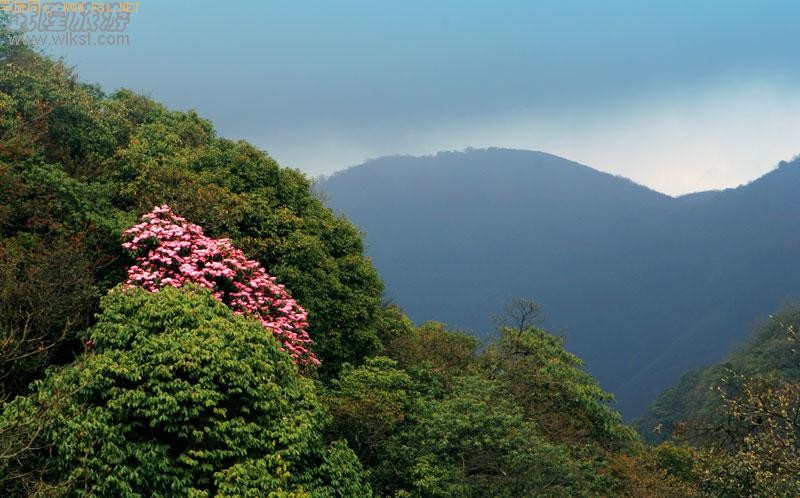 ��¡����ɽ�ž黨