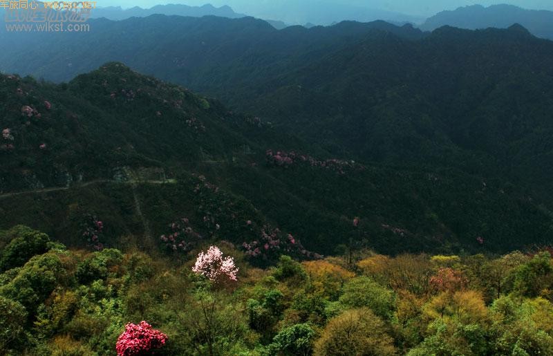 ��¡����ɽ�ž黨