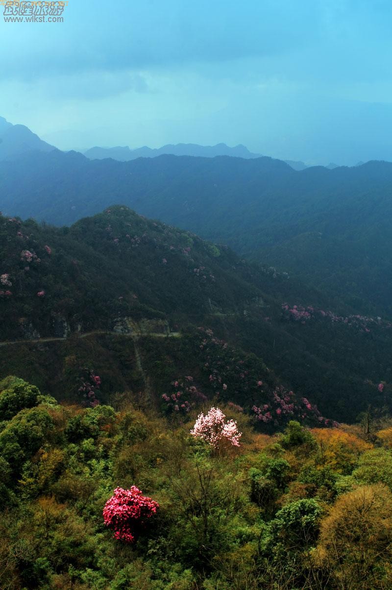 ��¡����ɽ�ž黨