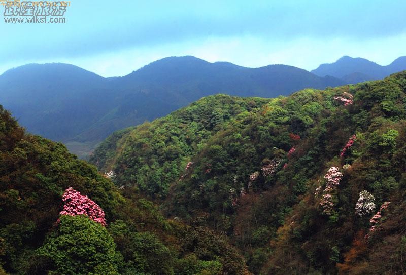 ��¡����ɽ�ž黨