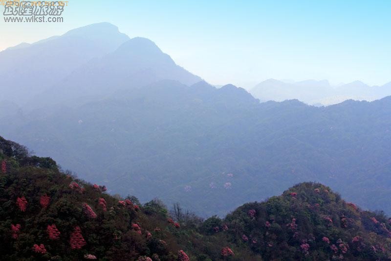 ��¡����ɽ�ž黨