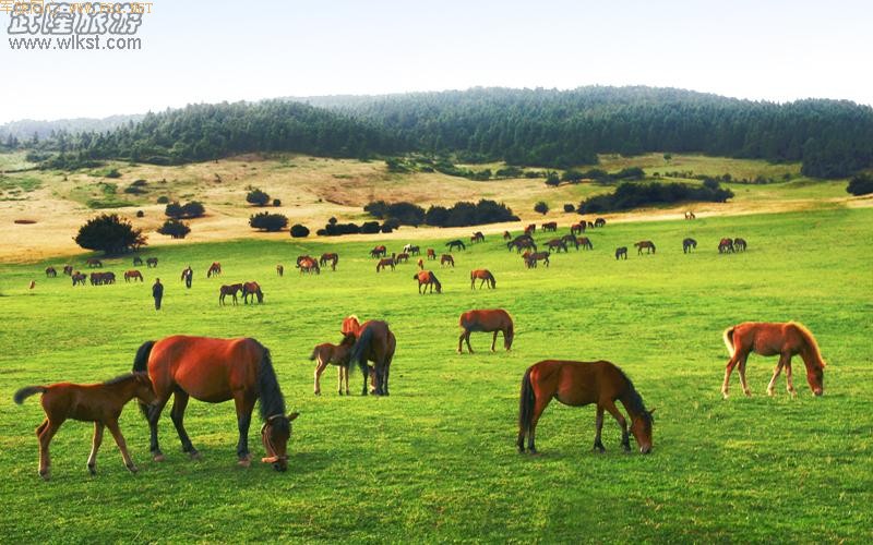 �Ϲ���ԭ��Ůɽ