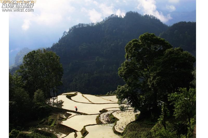 ��¡������