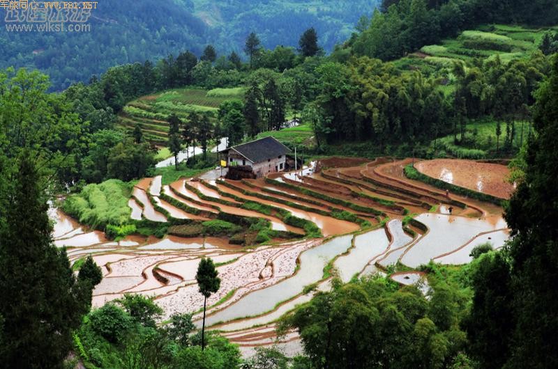 ��¡������