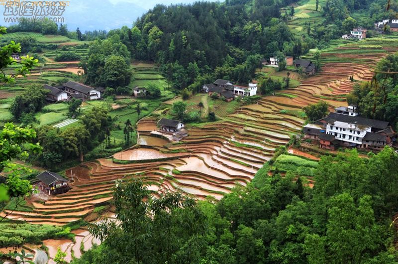 ��¡������