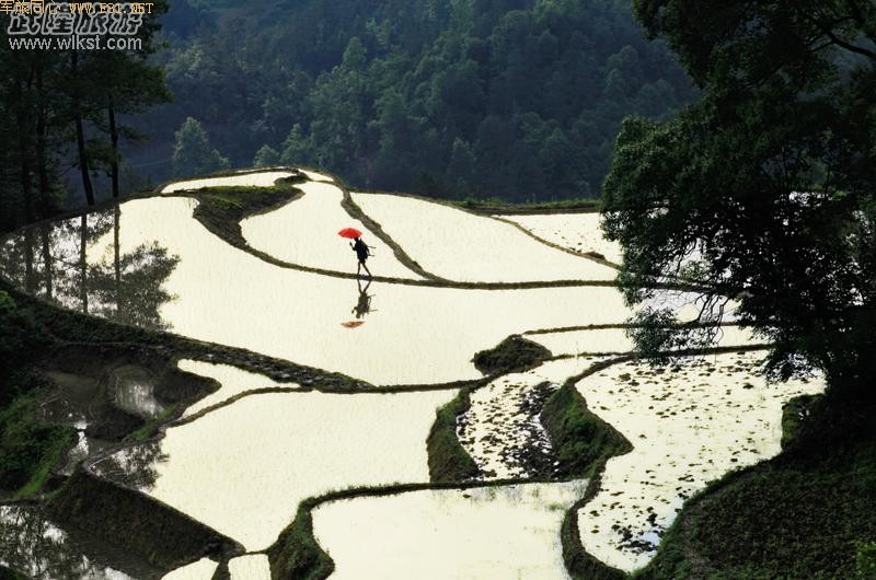 ��¡������