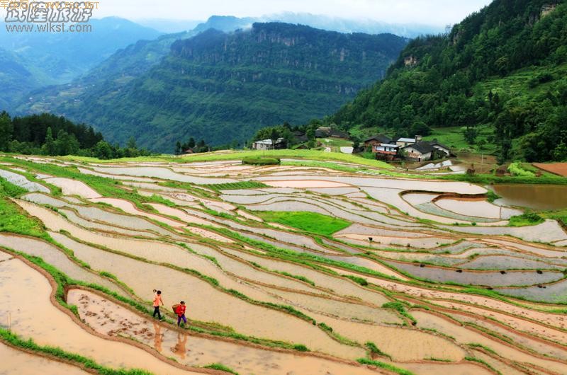 ��¡������