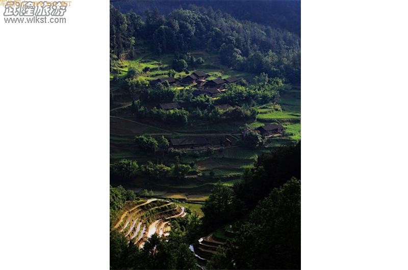 ��¡������