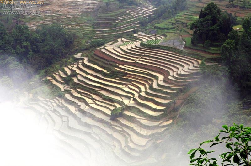 ��¡������