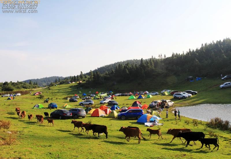 ��Ůɽ�Լ���Ӫ