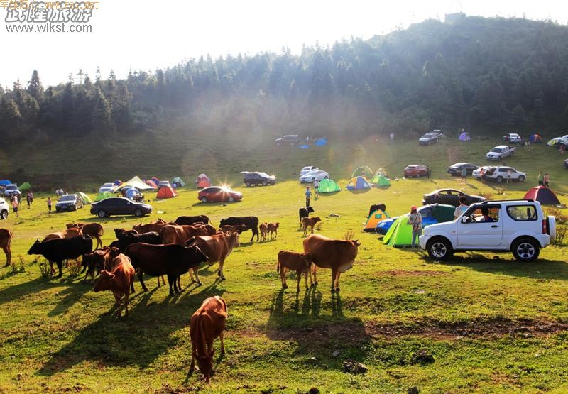 ��Ůɽ�Լ���Ӫ