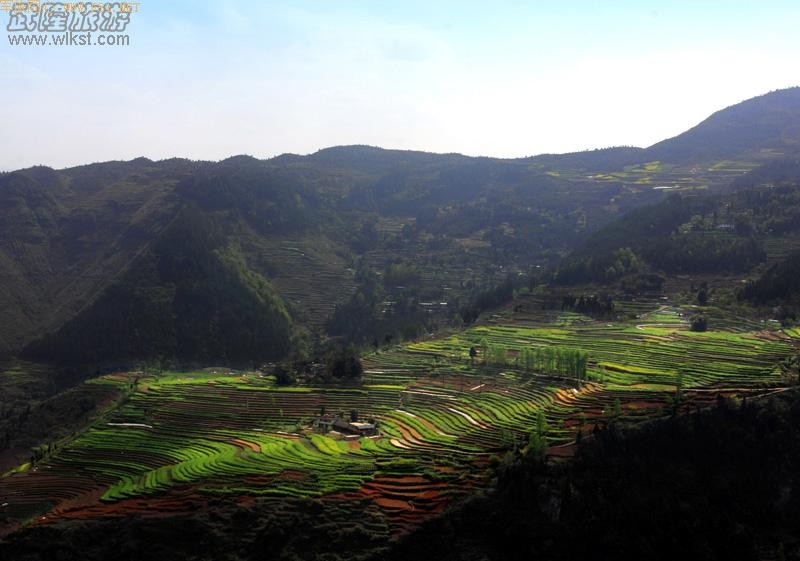 ��¡����ɽ��