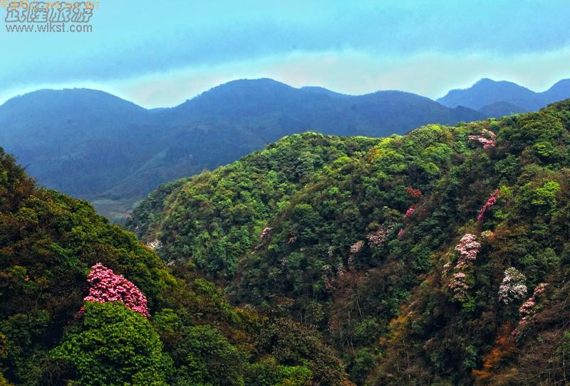 ��¡����ɽ��