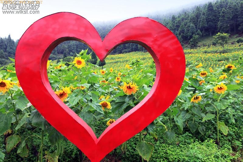 ��Ůɽ����