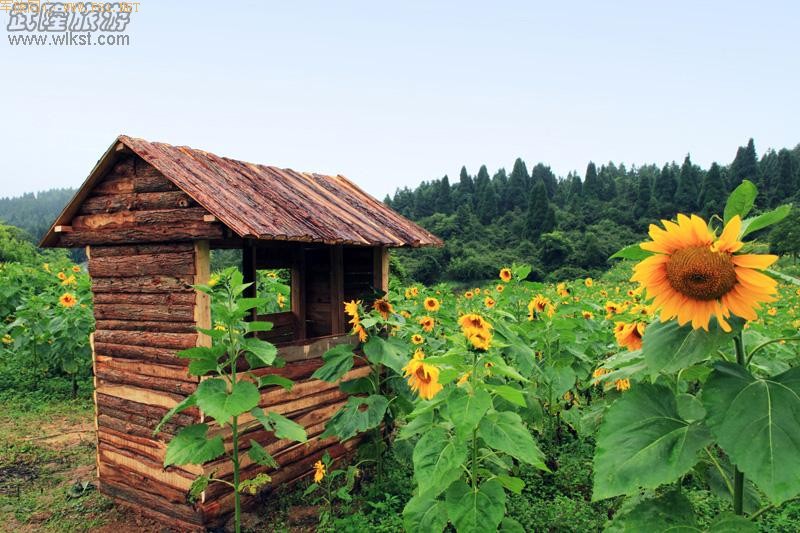 ��Ůɽ����