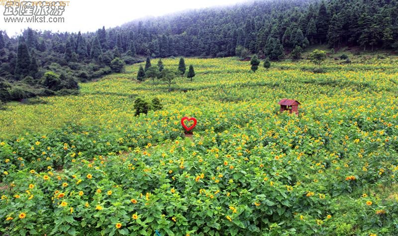 ��Ůɽ����