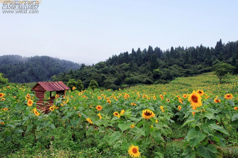 ��Ůɽ����