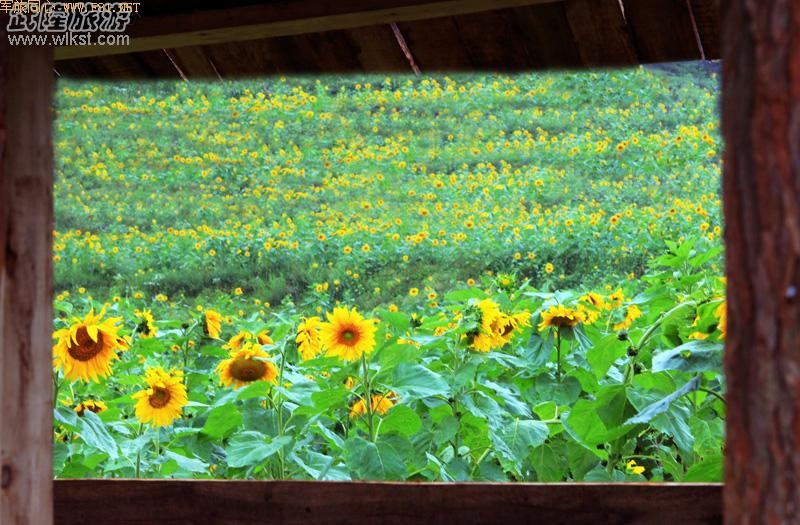 ��Ůɽ����