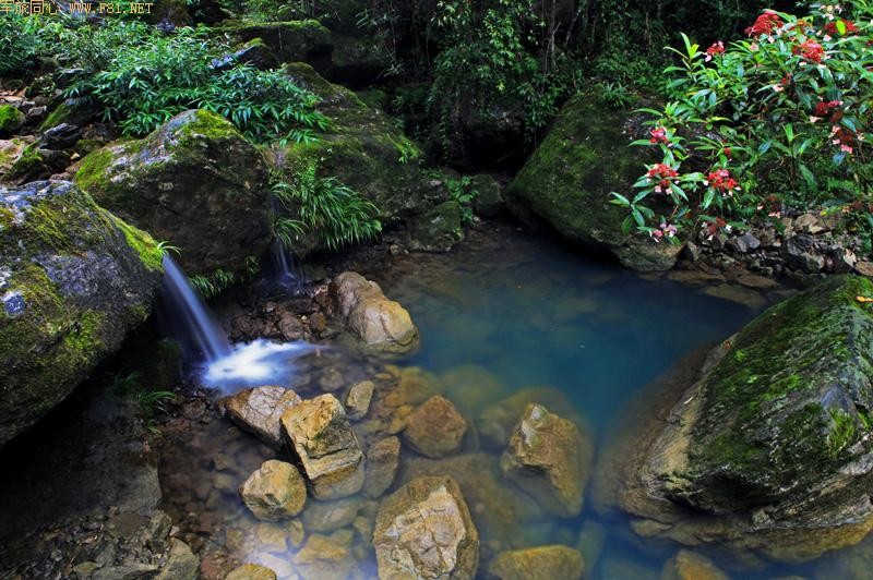 ��̽����СϪ