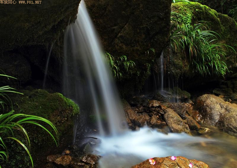 ��̽����СϪ