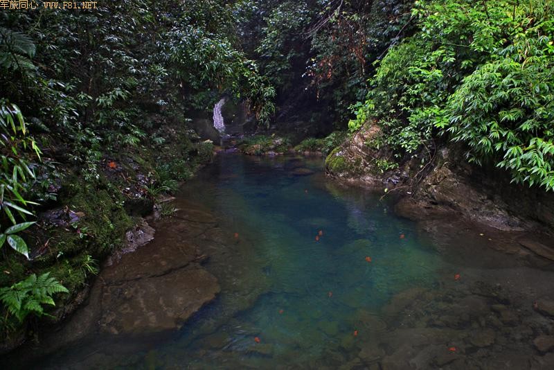 ��̽����СϪ