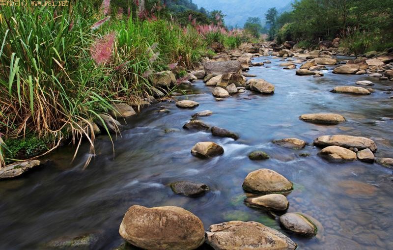 ����İ���