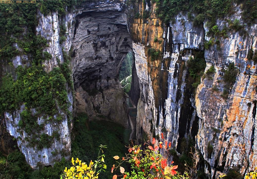 �������~��Ҷ��