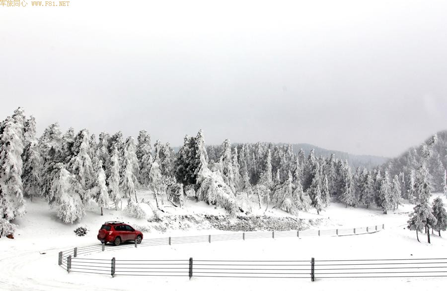 ��Ůɽѩԭ���