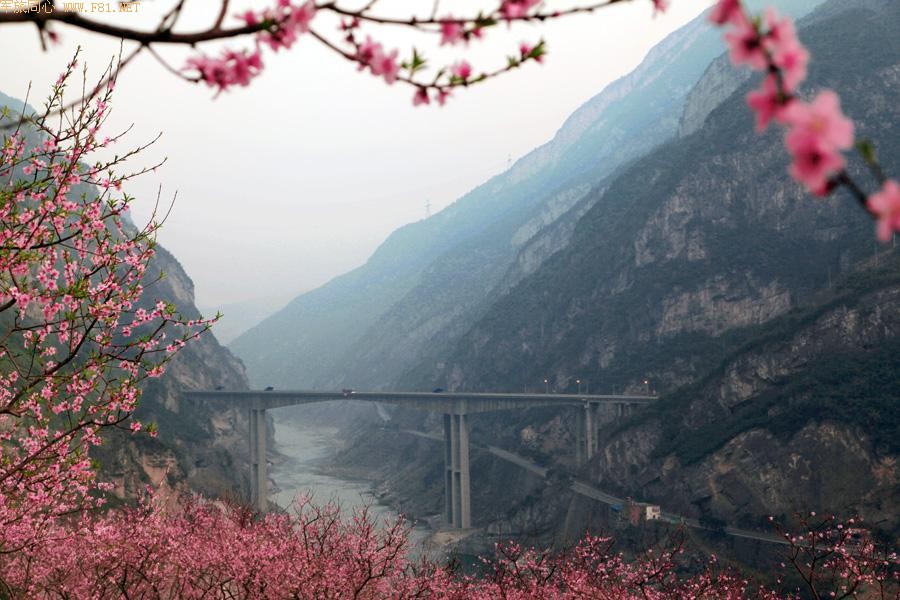 ��ů����