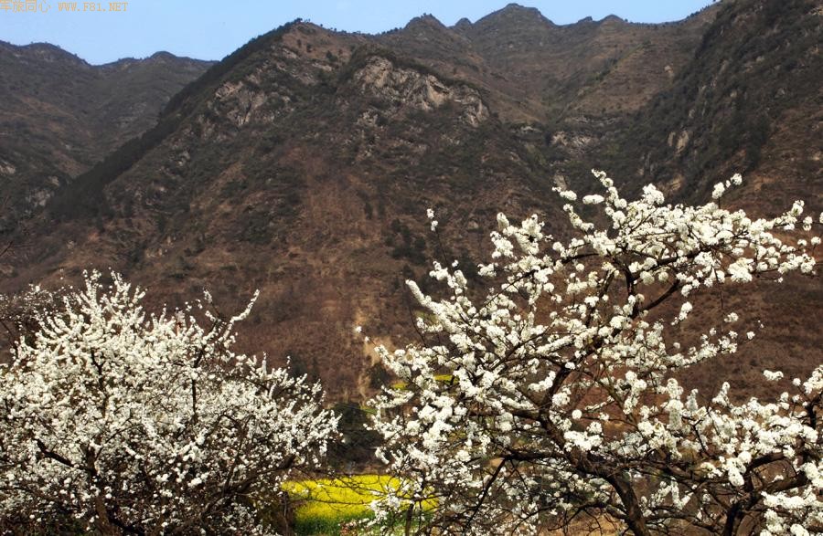 ��ů����