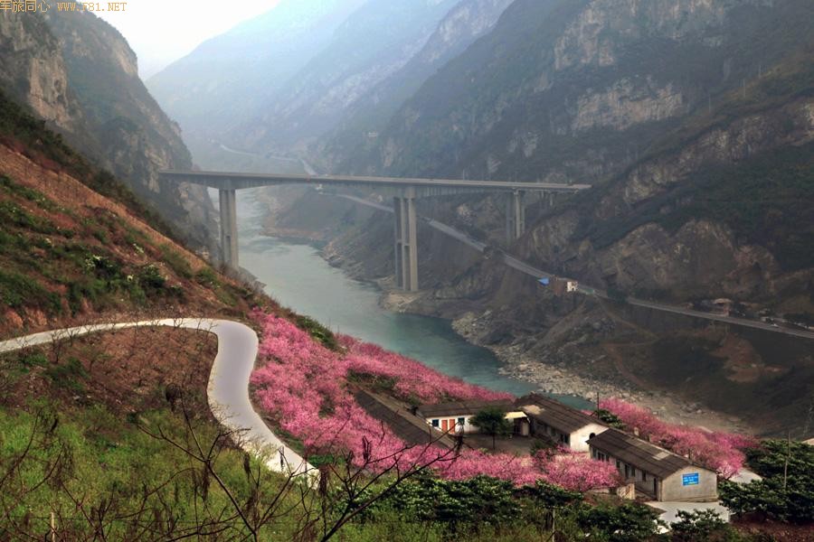 ��ů����