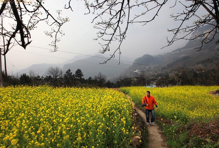 ��ů����