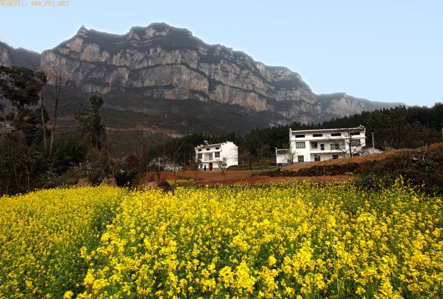 ��ů����