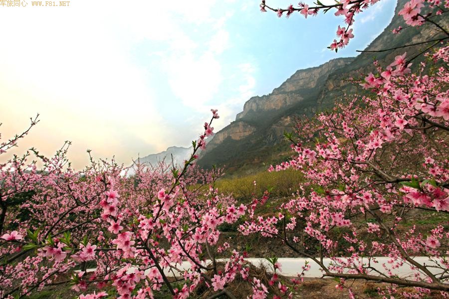 ��ů����