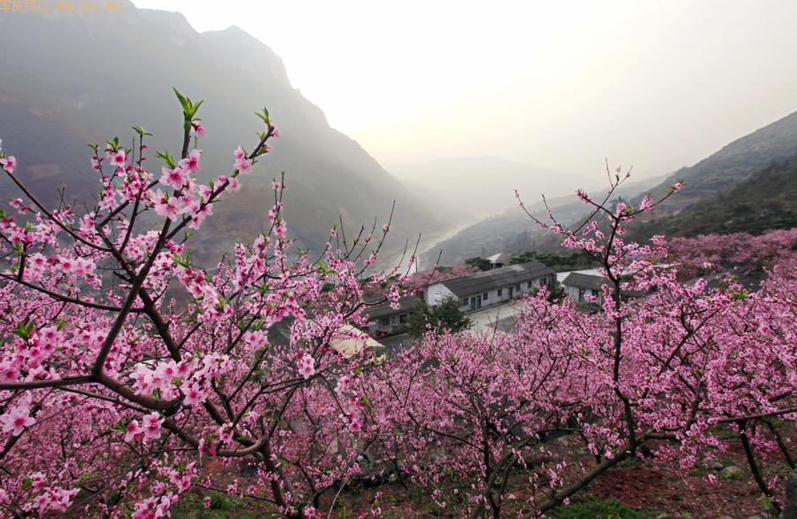 ��ů����