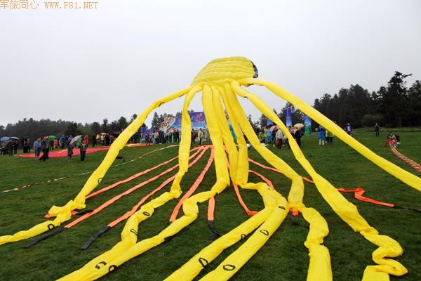 仙女山吹来“风筝”风 国际风筝放飞季主题活动开幕