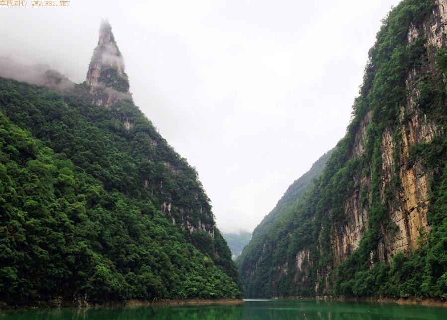 ����ܽ�ؽ�