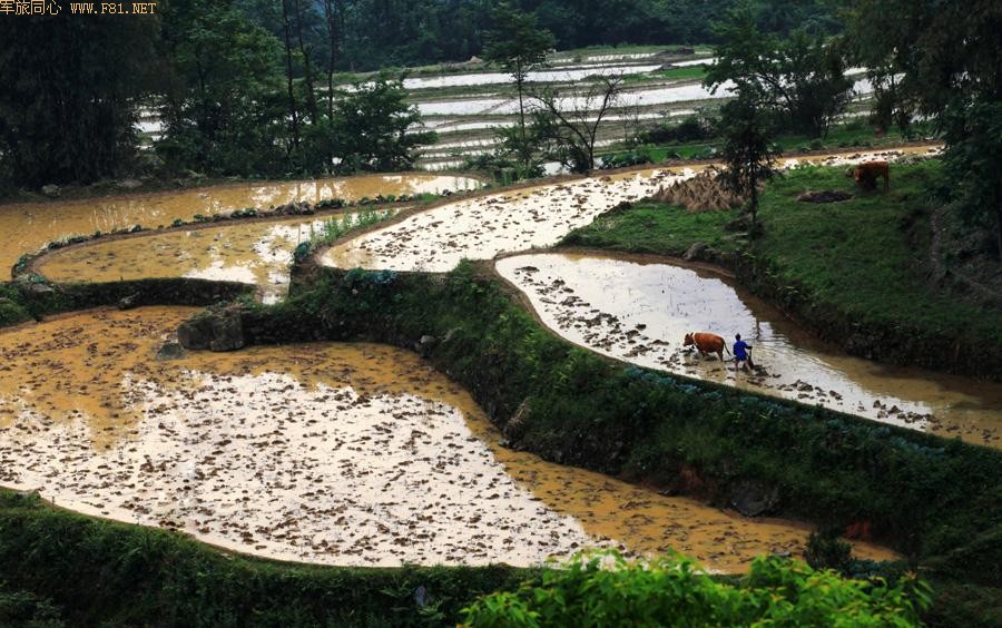 ��԰��ʫ ��¡�续