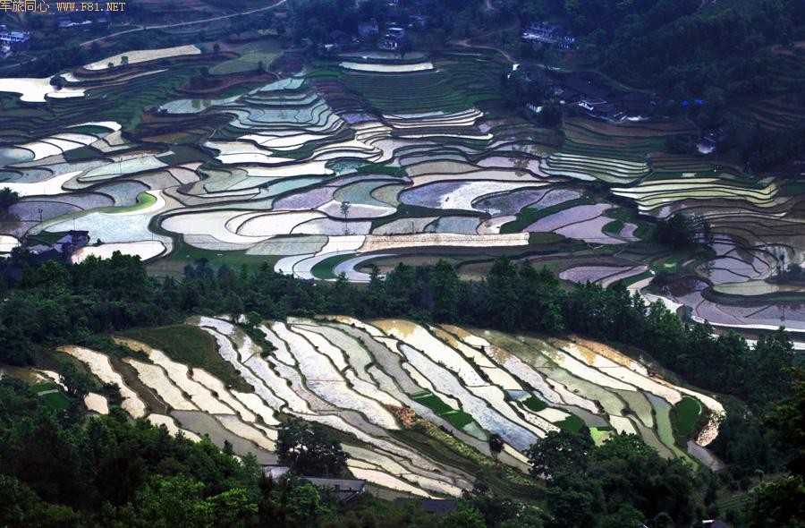 ��԰��ʫ ��¡�续